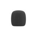 BOYA CastMic P60 Wired USB XLR Studio Microphone - Black