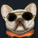 Kryt Nimmy NIMMY GLASSES COOL DOG iPhone 16 - černý