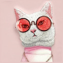 Kryt Nimmy NIMMY GLASSES COOL CAT iPhone 16 - růžový