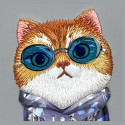 Kryt Nimmy iPhone 16 Cool Cat Glass - šedý