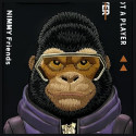 Kryt Nimmy COOL&COUNTY 2.0 Monkey pro iPhone 16 Pro – černý