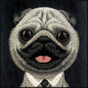 Kryt Nimmy BIG EYED PET 2.0 pro iPhone 17 - černá