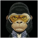 Kryt Nimmy GORILLA CASE 2.0 pro iPhone 17 Pro - černá