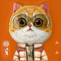 Kryt Nimmy Cool&Cute 2.0 iPhone 17 Pro – oranžový