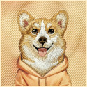 Kryt Nimmy Gentle Pets Series pro iPhone 17 Pro Max - oranžový
