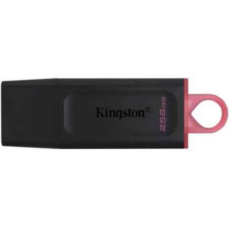 Flash disk Kingston DataTraveler Exodia 256GB USB 3.2 Gen 1