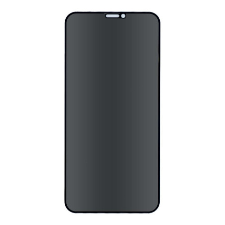 Ochranné sklo Forever Privacy iPhone XR/11 černé
