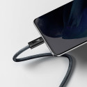 BASEUS CALD000216 Dynamic Series Opletený datový a nabíjecí kabel USB-C/USB-C 100W, 1m, černý