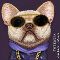 Kryt Nimmy NIMMY GLASSES COOL DOG iPhone 18/17 Pro Max - fialová