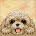 Kryt NIMMY Teddy Poodle pro iPhone 18 Pro - hnědý