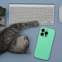 Kryt iPhone 17 Pro / 18 Pro - mint (MagSafe)