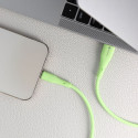 Kabel Forcell F-Energy 2,4A 12W pro Apple zařízení 1 m - zelený (C343)