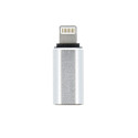 Redukce USB-C na Lightning stříbrná