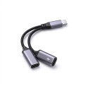 Nabíječka Blue Star USB-C 2v1 pro telefony - modrá/černá