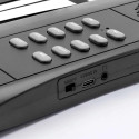 Elektronické klávesy Huslog – obrázek 4