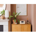 CD přehrávač Pure Classic C-D4, DAB+, FM - bílý – obrázek 5