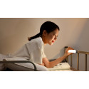 BASEUS DGXC-C0G Magnetická LED lampa s dotykovým ovládáním a USB-C nabíjením, šedá