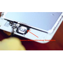 Gumové těsnění domácího tlačítka pro iPhone 6/6S a 6 Plus/6S Plus