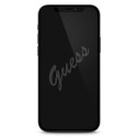 Ochranné sklo Guess pro Apple iPhone 12 mini